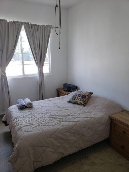 Petit Y Comodo Loft En La Ciudad. Monterrey Dış mekan fotoğraf